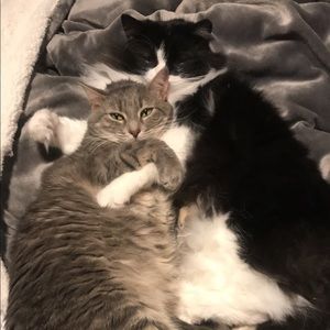 Meet your Posher, Erin